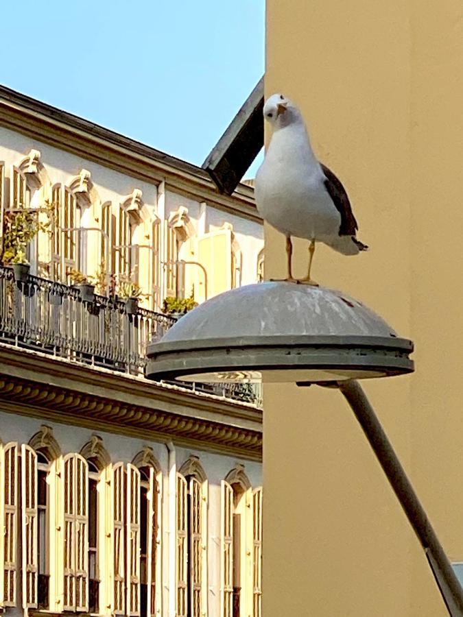 2 Bedroom - Hyper Center - Kitchen - Tramway - Balcony - Air Conditioner - Wifi Nice Extérieur photo